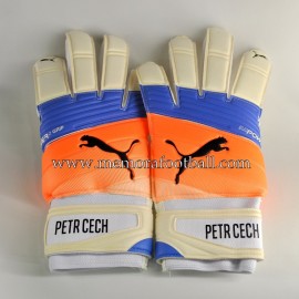 "PETR CECH" 2016-17 Arsenal FC signed match unworn gloves