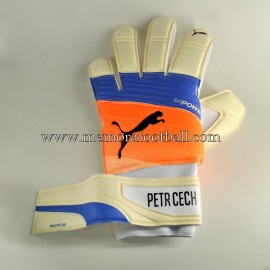 "PETR CECH" 2016-17 Arsenal FC signed match unworn gloves