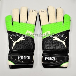 "PETR CECH" 2016-17 Arsenal FC match unworn gloves