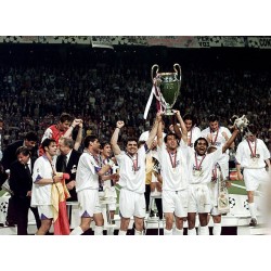 Real Madrid CF 1998 UEFA Champions League, Trofeo de plata