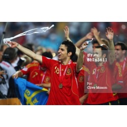 UEFA Euro 2008. Gold Winner's Medal Spain	