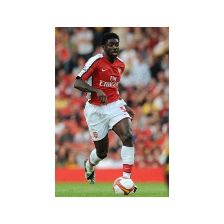 KOLO TOURÉ Arsenal FC 2008-09 Premier League match worn shirt