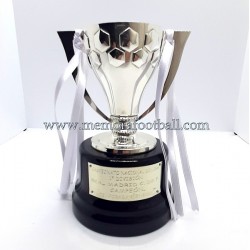 Real Madrid CF Trofeo de...