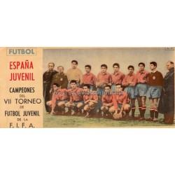Cromo Selección Española...