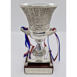 FC Barcelona Trofeo...