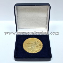 2010 FIFA World Cup Preliminary Draw Official Medal