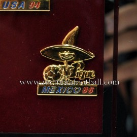 Cuadro pins oficiales 2002 FIFA World Cup 